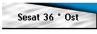 Sesat 36  Ost