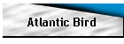 Atlantic Bird
